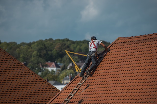 Shingle or Tile Roofs in Florida Here’s the Difference