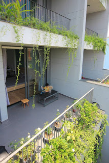 thiết kế kiến trúc không gian xanh cho nhà ở