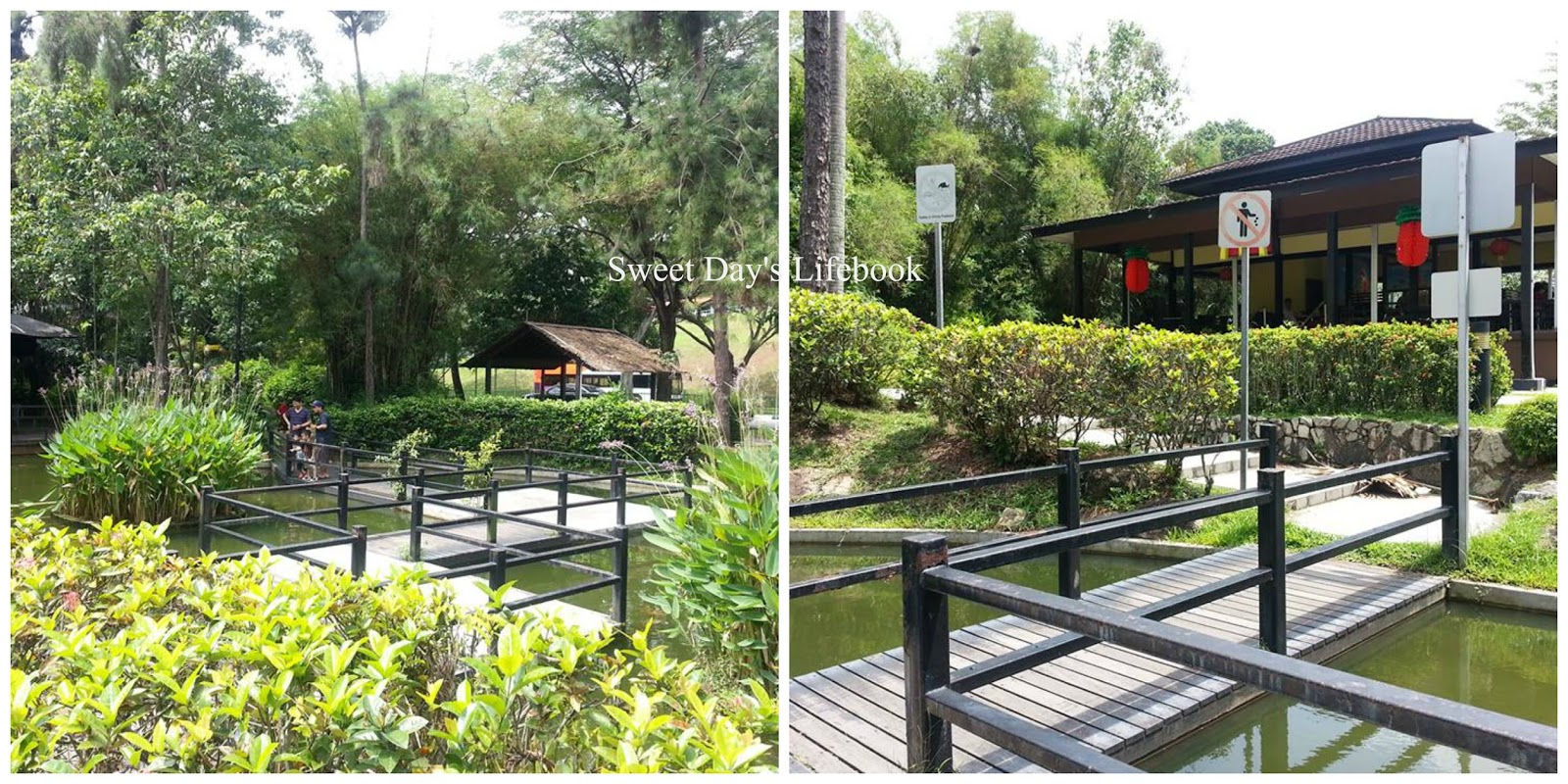 Sweet Day's Lifebook Exploring neighbourhood Queenstown's Ridout Tea