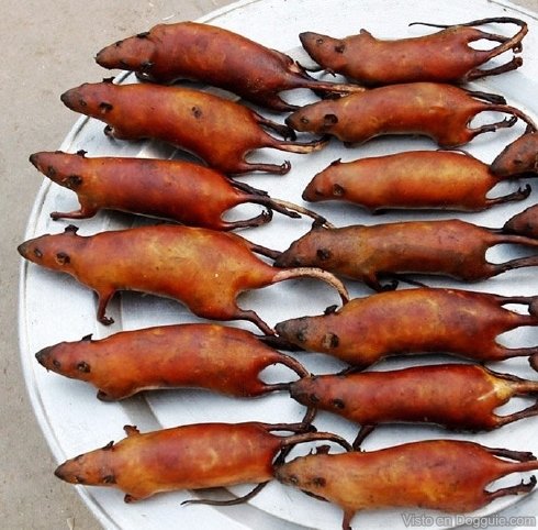 Gambar Tikus Bakar Mentega