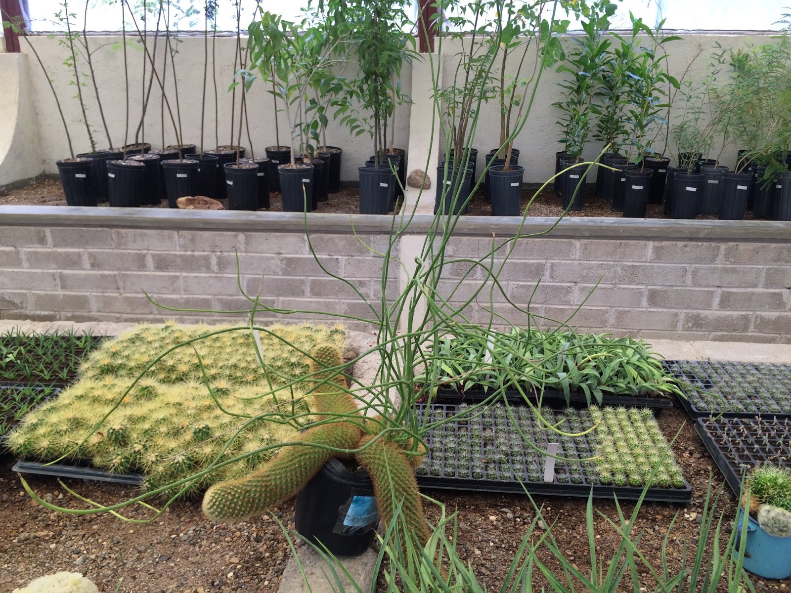 Paisajismo, pueblos y jardines