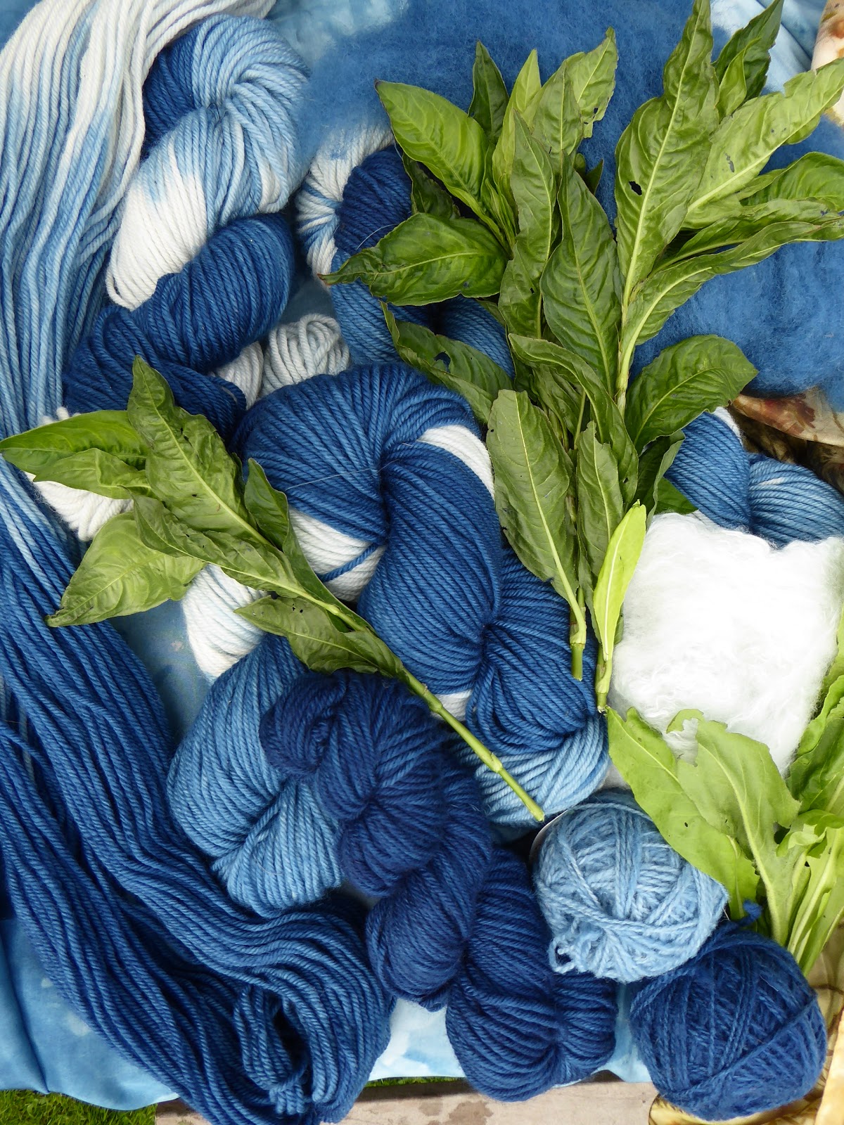 Wool Tribulations of Hand Spinning and Herbal Dyeing
