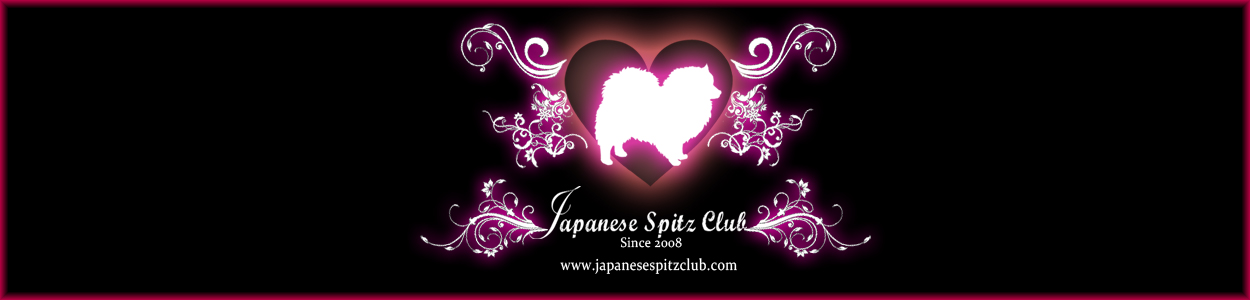 Japanese Spitz Club Singapore