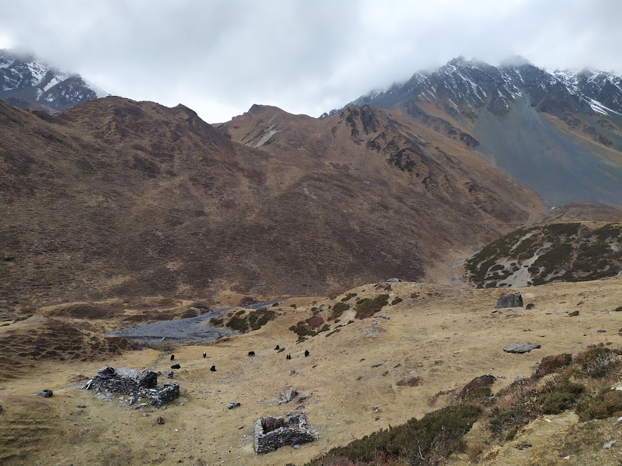 По долине Цум и вокруг Манаслу не галопом, ноябрь 2019.