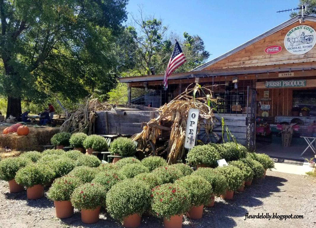 Fleur de Lolly Dining Out Southeast The Greasy Spoon, Gallant, AL