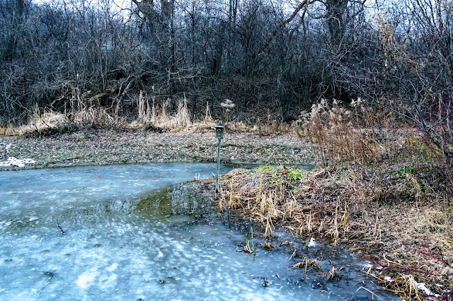 Pond in Charles Sauriol Conservation Area