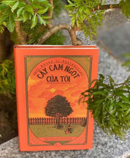 CÂY CAM NGỌT CỦA TÔI ebook PDF EPUB AWZ3 PRC MOBI