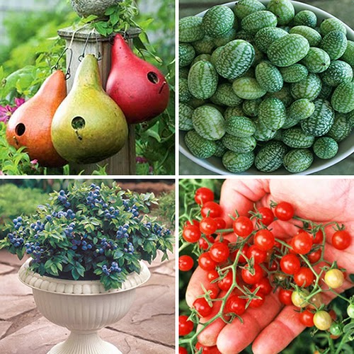 Великолепные идеи для детей на дачном участке.