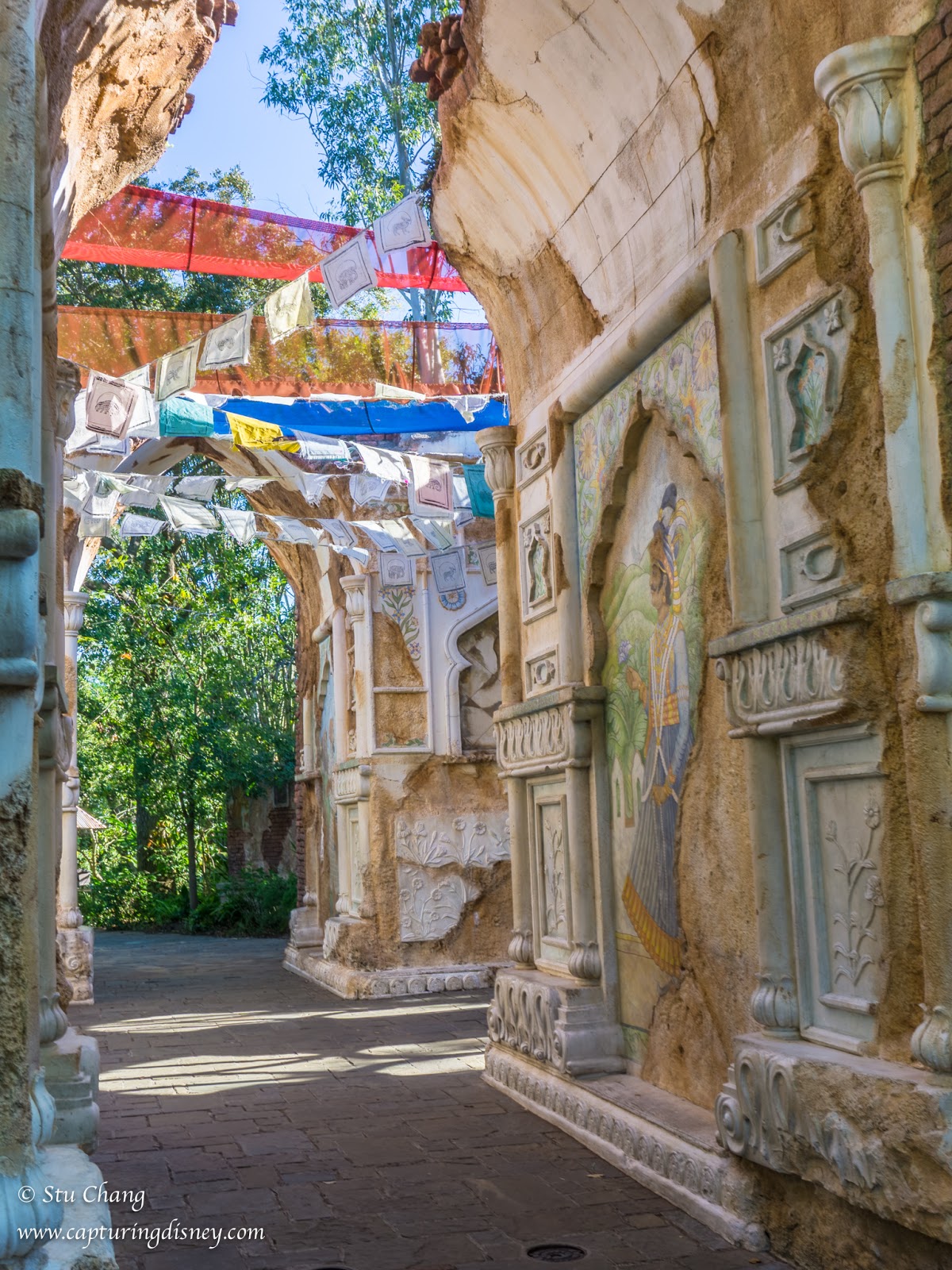 Capturing Disney: Animal Kingdom