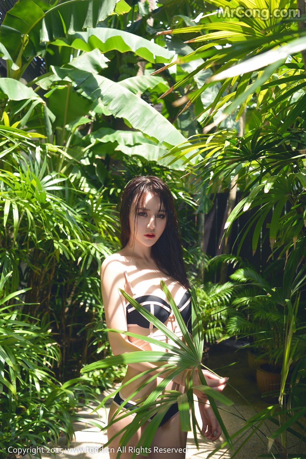 TGOD 2015-11-10: Model Cheryl (青树) (48 photos) photo 2-2
