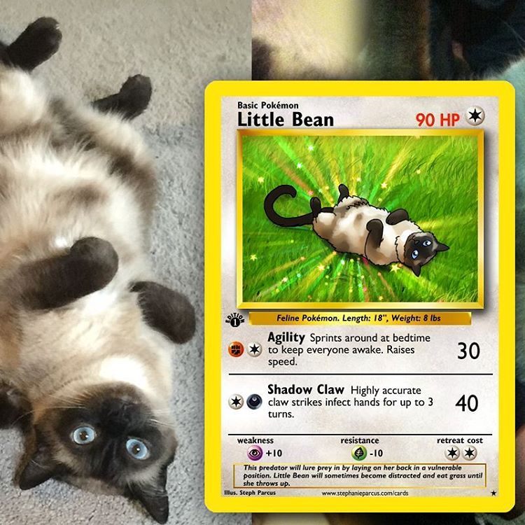 20 Hewan Peliharaan Dalam Versi Kartu Pokemon Kelewat