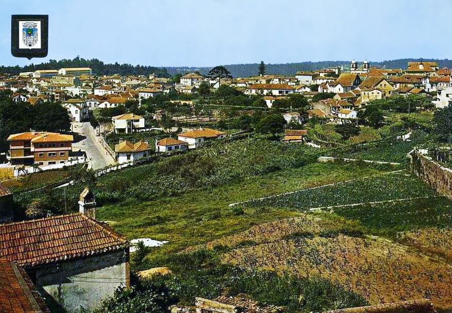 Retratos de Portugal Oliveira de Azeméis Vista Parcial