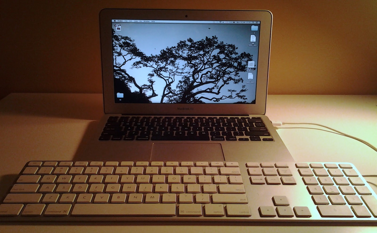 Winding Spiral Case: Weekend Review: Laptop Workaround, Padmanadi