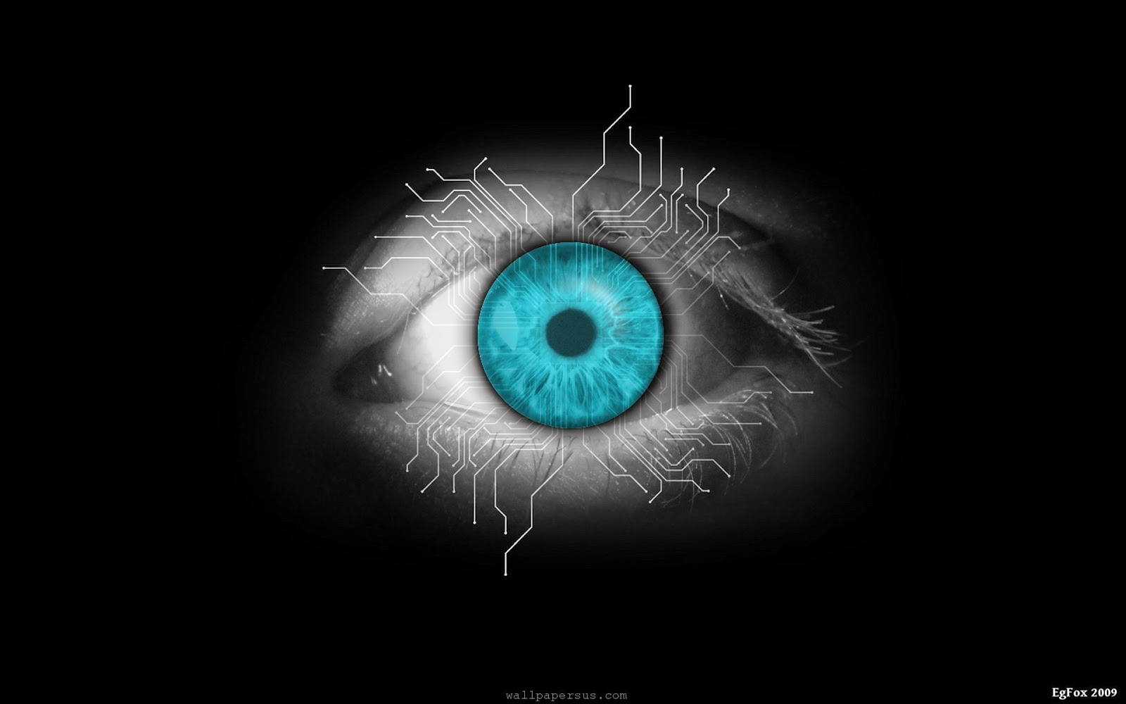 Sweet Remedy Doctor, Doctor Where Did My Cataracts Go?