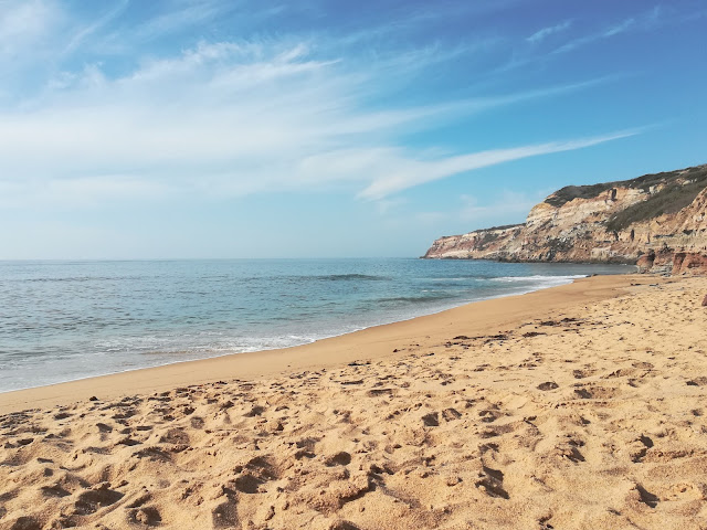 segmento e nicho de mercado: qual é a tua praia? segmento e nicho de mercado: qual é a tua praia?
