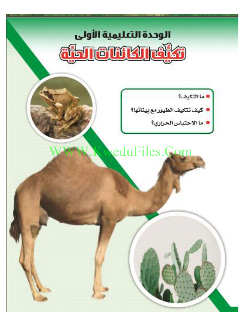 تعليق عطور لص التكيف السلوكي للحيوانات callawayadvertising com