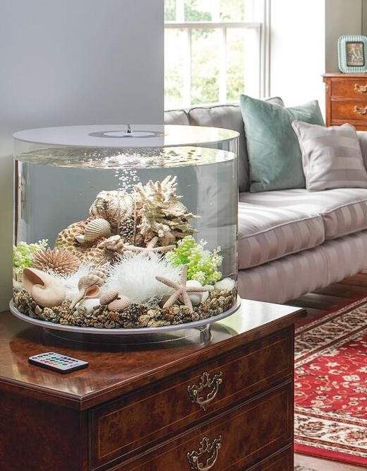 Aquarium Ideas for your Home  Create an Ocean Underwater World