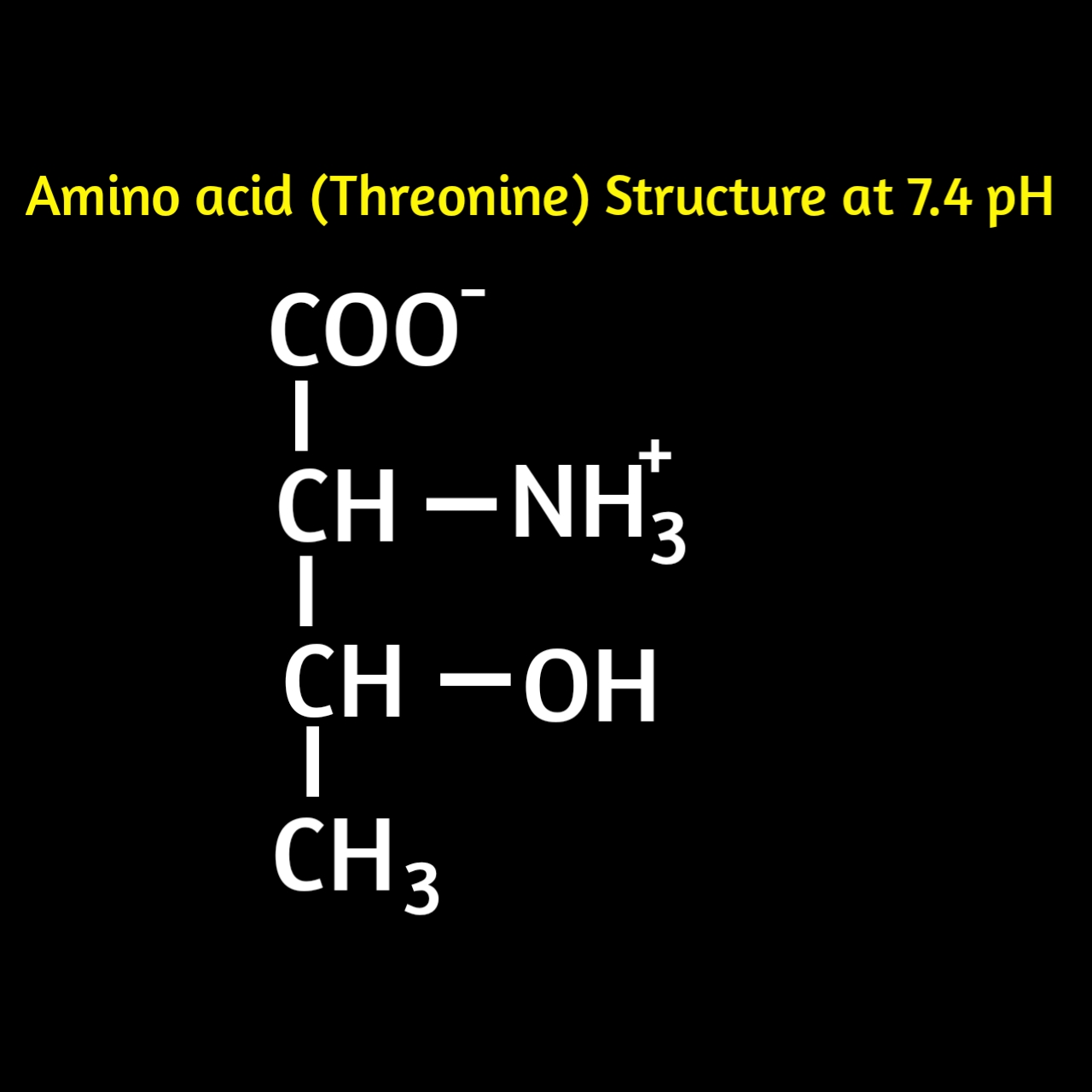 Science Lair Amino acids Definition, structure, classification with
