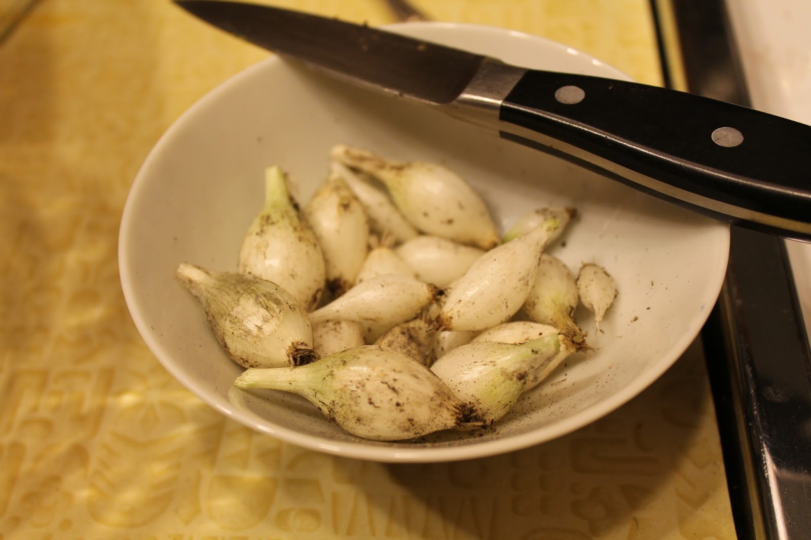 DIY Cocktail Onions for the perfect Gibson