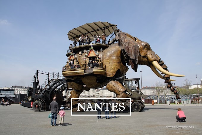 Qué ver en Nantes además del Castillo de los Duques de Bretaña