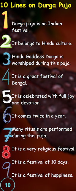 Some Points About Durga Puja