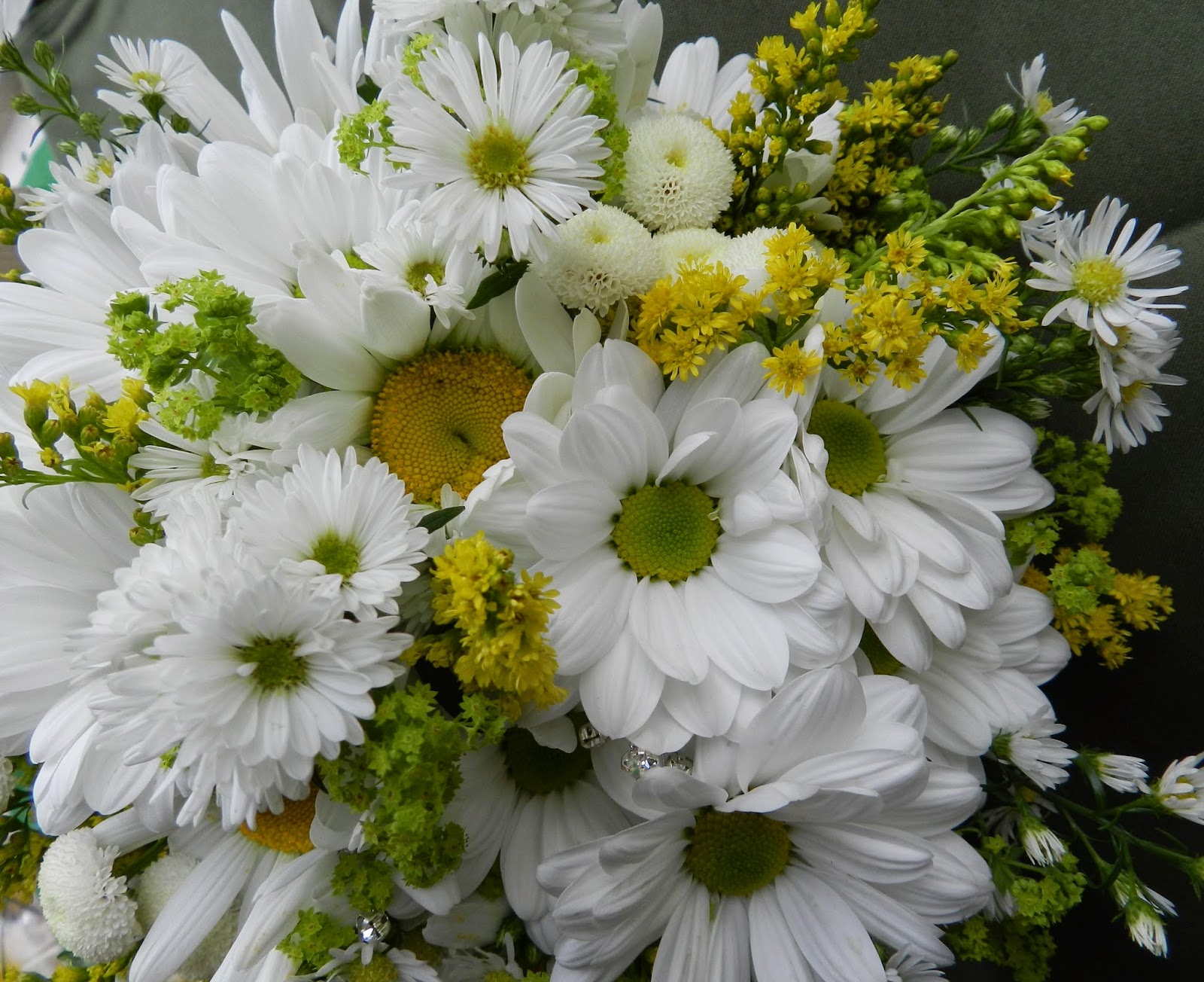 Sandra's Flower Studio Daisy bouquets and buttonholes