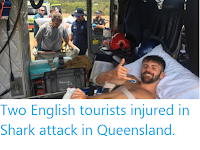 https://sciencythoughts.blogspot.com/2019/11/two-english-tourists-injured-in-shark.html