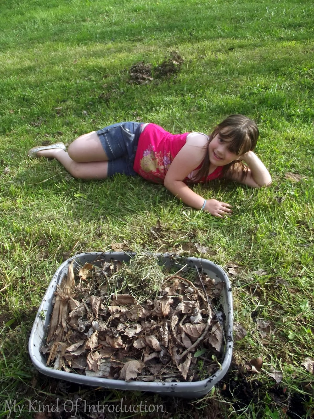 My Kind Of Introduction How to make a Compost Pile with a Storage Tote