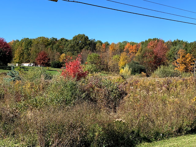 Ruple Farms - Fall foliage 2019