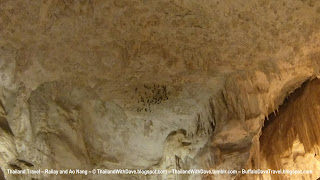 Bats in Cave in Railay
