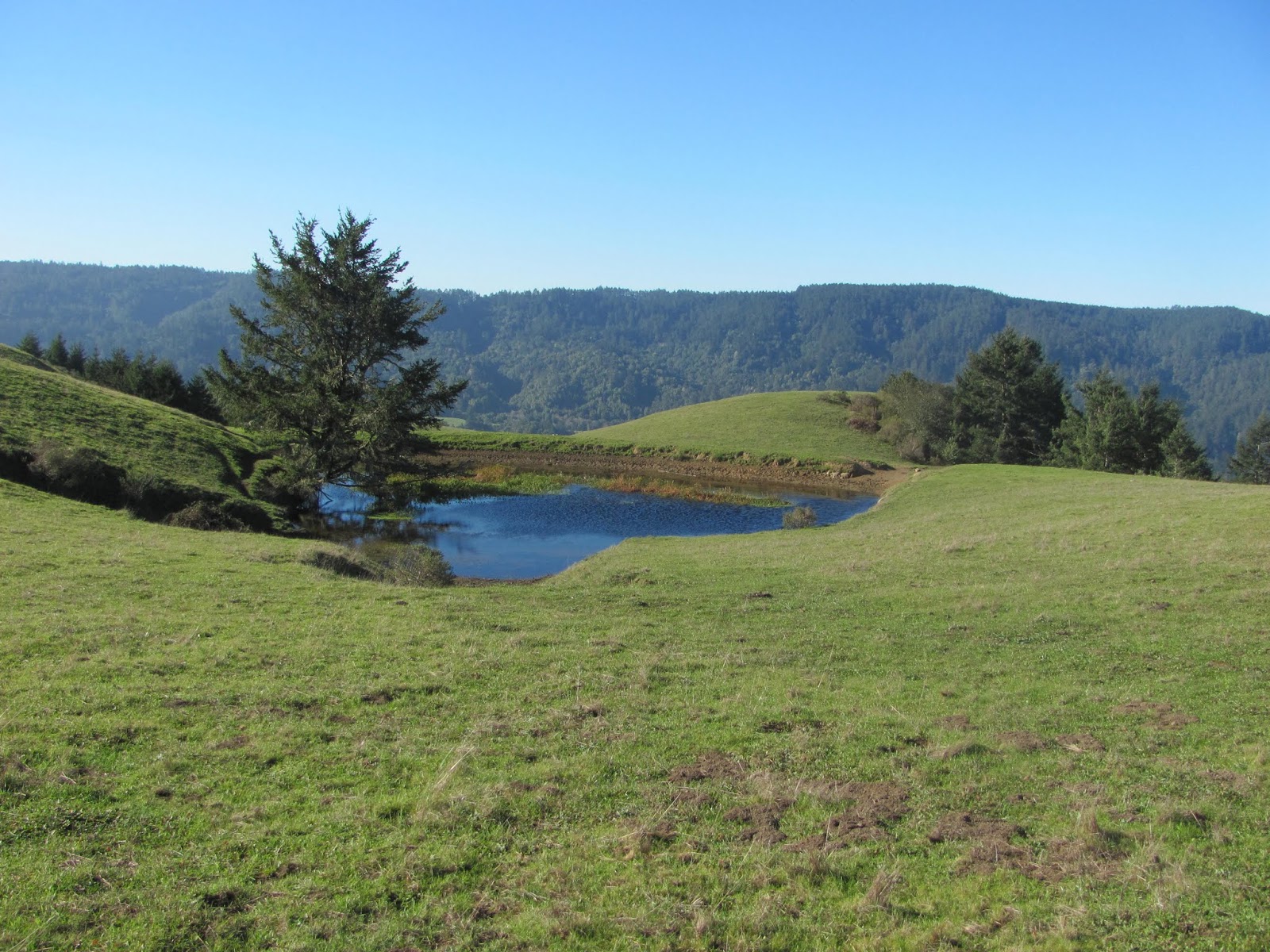 West Marin Photo of the Day