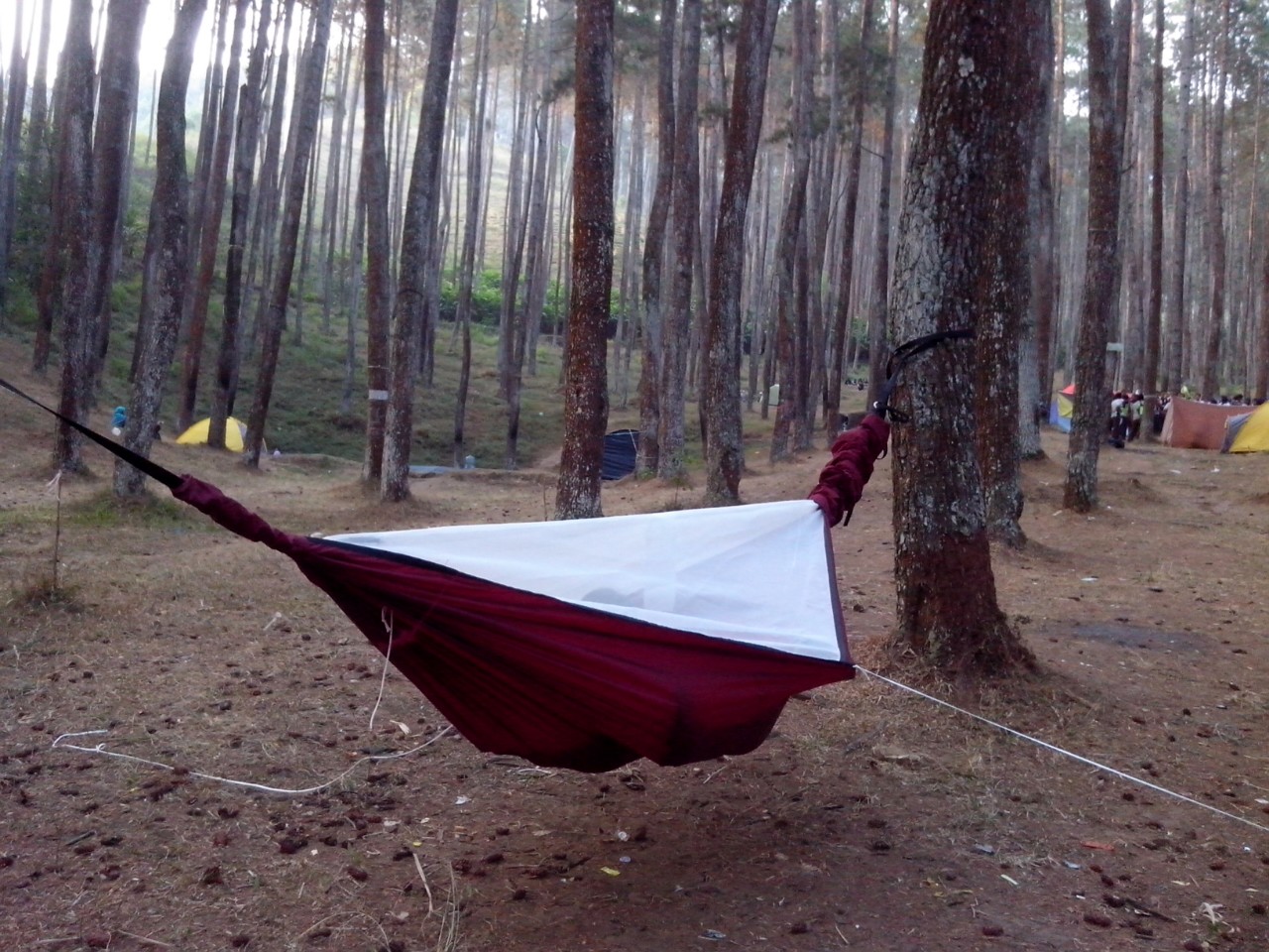 ULTIMATE HAMMOCK INDONESIA HAMMOCK TENDA MODEL HENESSY MURAH