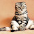 5 Nama-Nama Panggilan Kucing Dari Berbagai Negara Kucing German Bikin Kaget