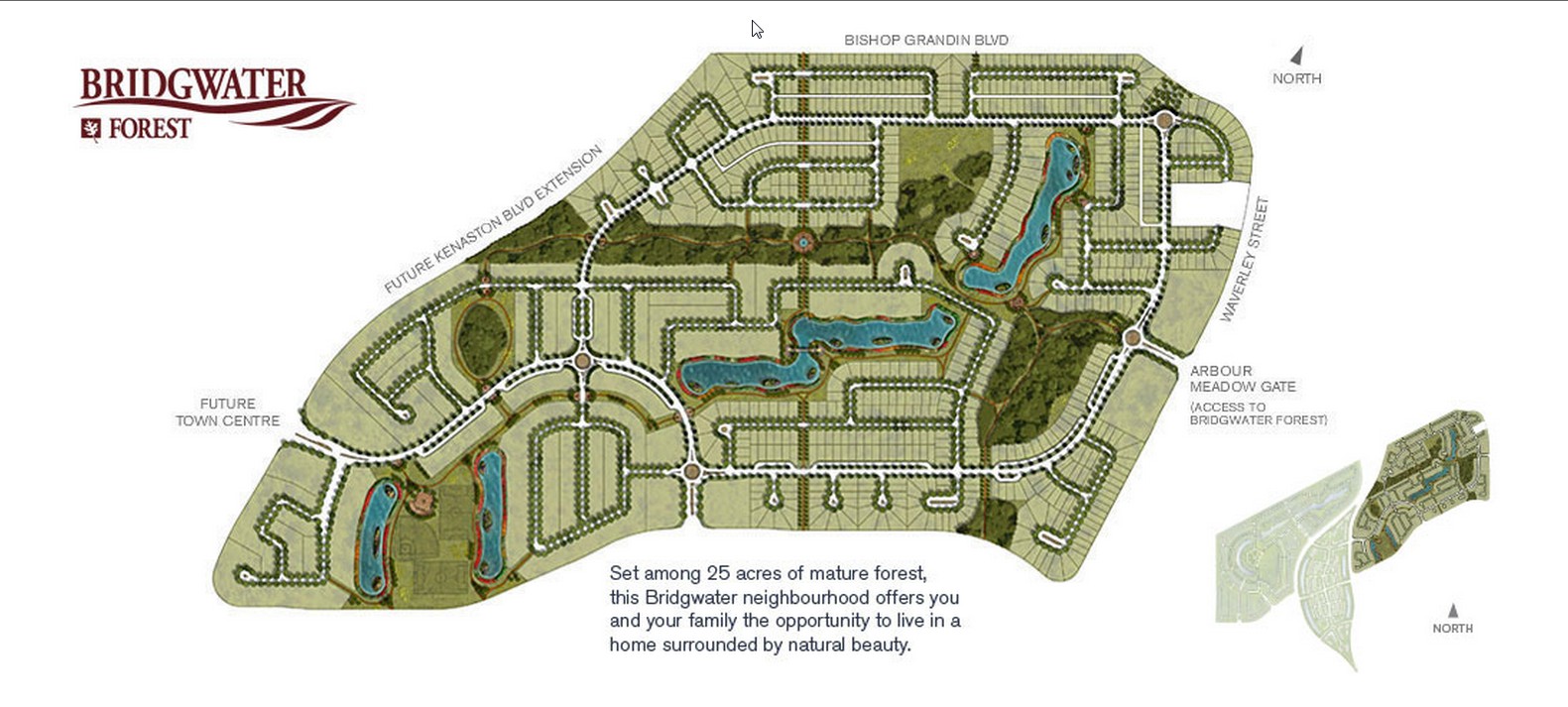 Observations, Reservations, Conversations Bridgwater Waverley West