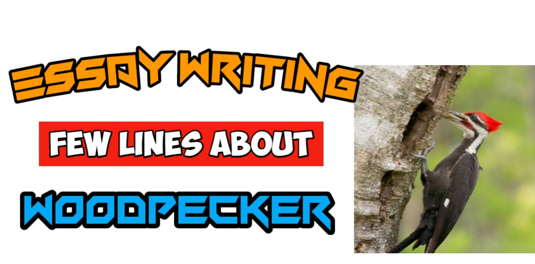 10 Lines essay about "Woodpecker" for kids A Short Speech about