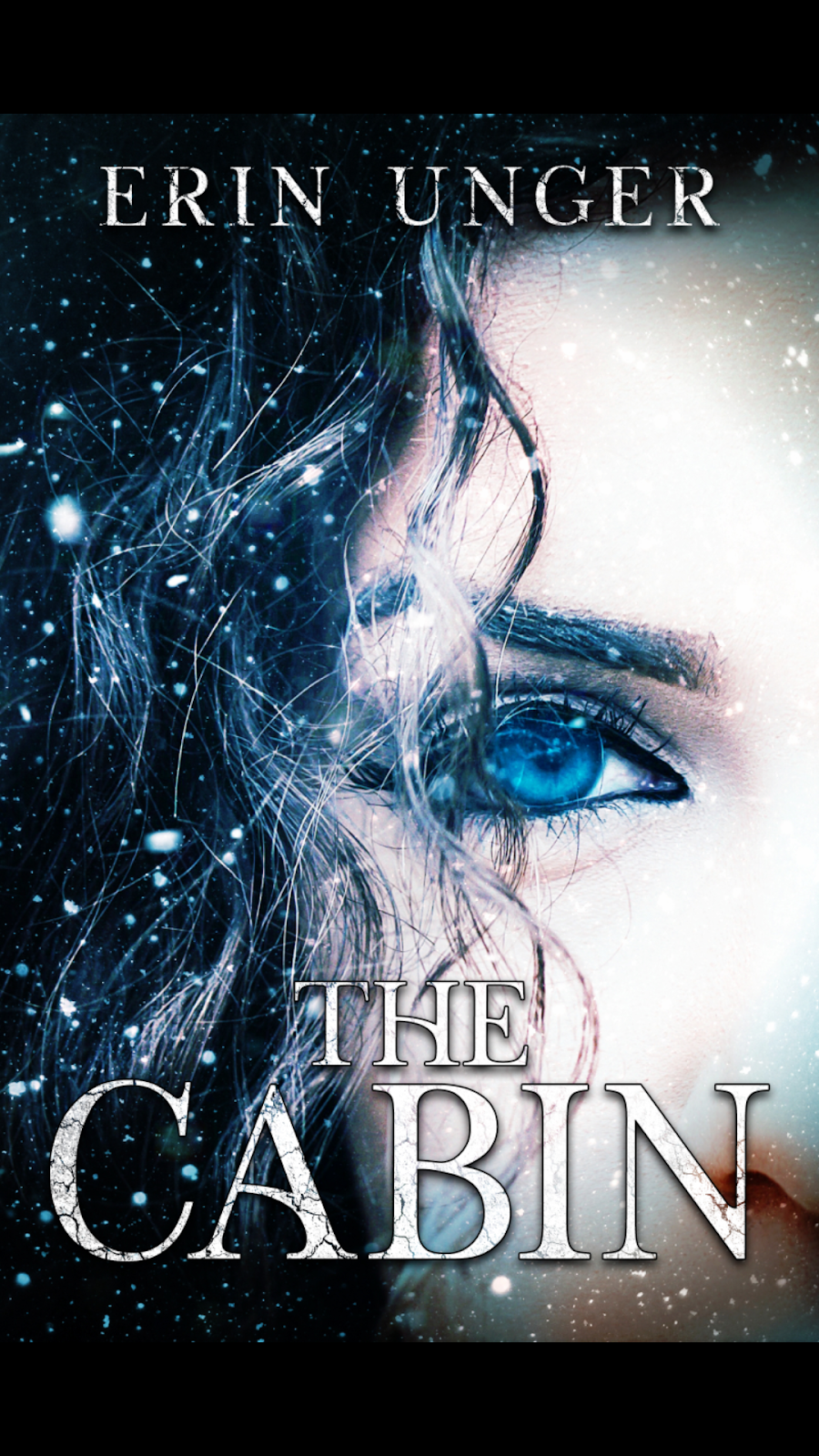 The Diamond Mine of Christian Fiction Interview and Giveaway with Erin