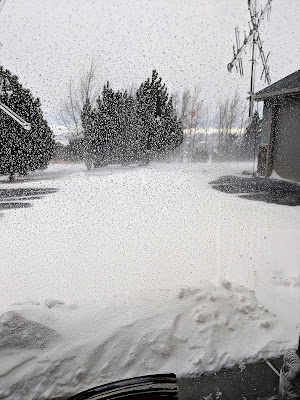 January snowstorm