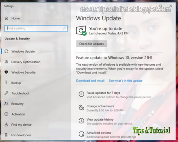 Cara Blokir Windows 11 Agar Tidak Diinstall di Komputer Anda - Tips