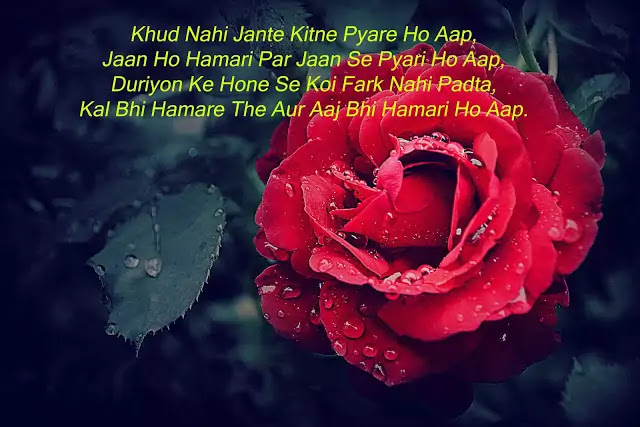 shayari in bengali shayari in bengali