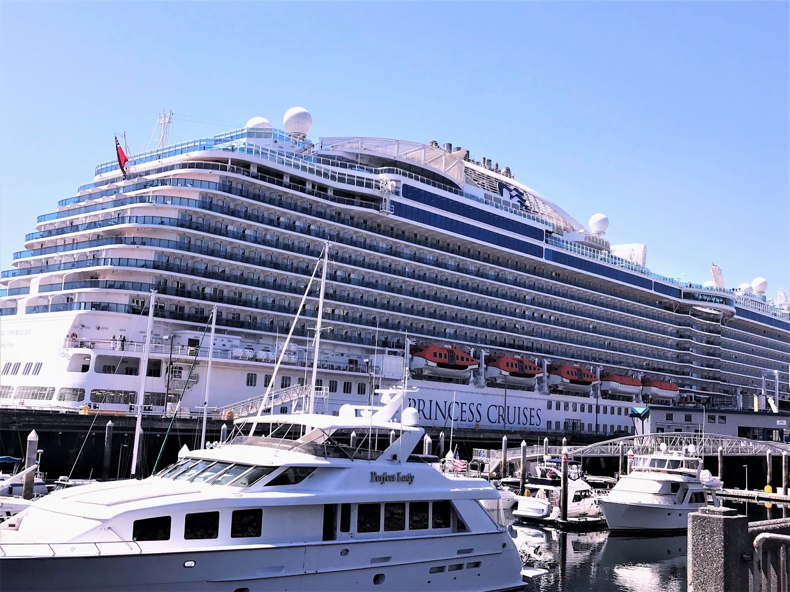 Princess Cruises What is a Medallion Class Cruise? MAPLE LEOPARD