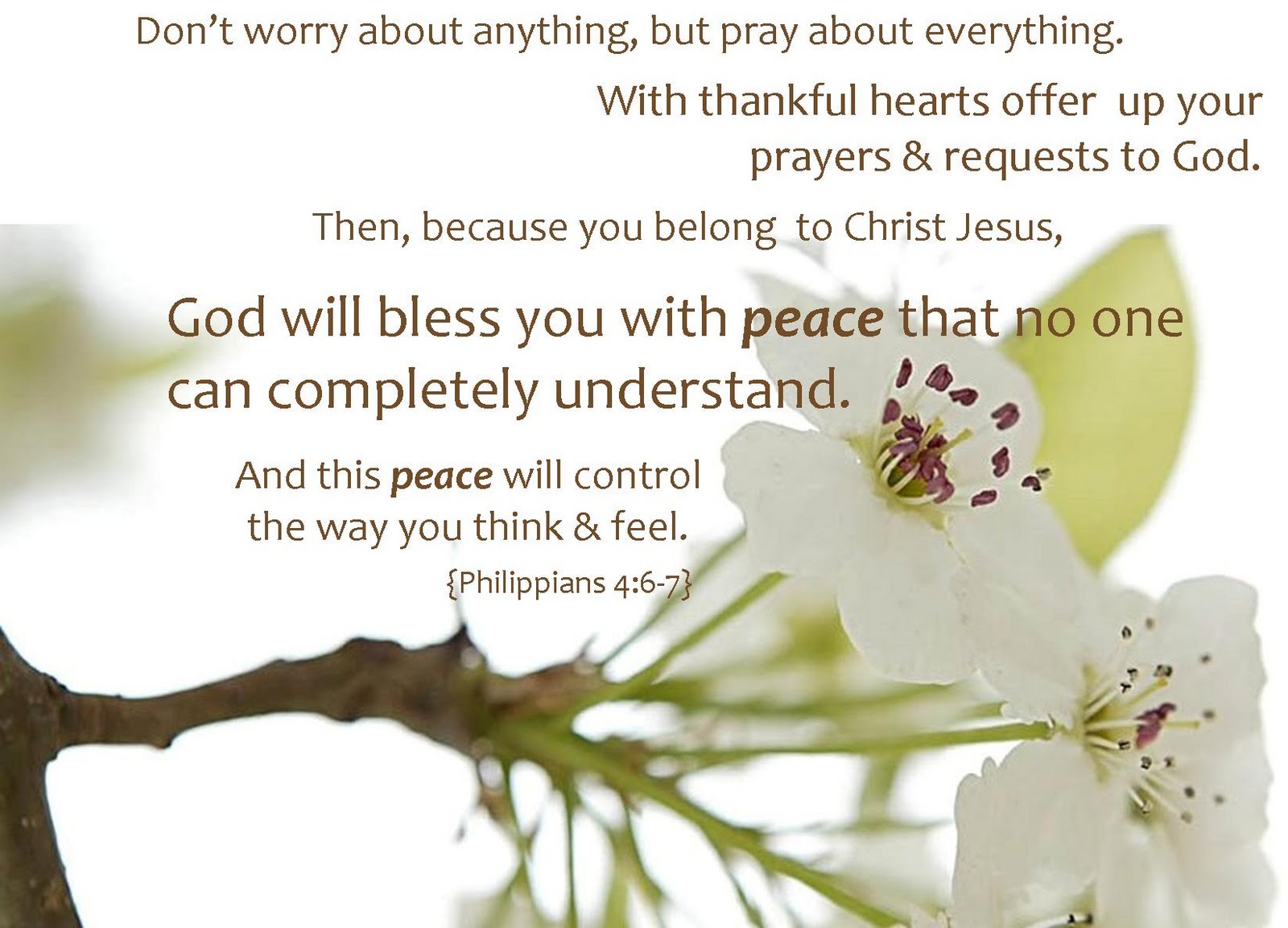 God will bless you with peace