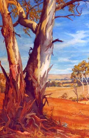 Aime Sacrez | Australian Painter/Illustrator