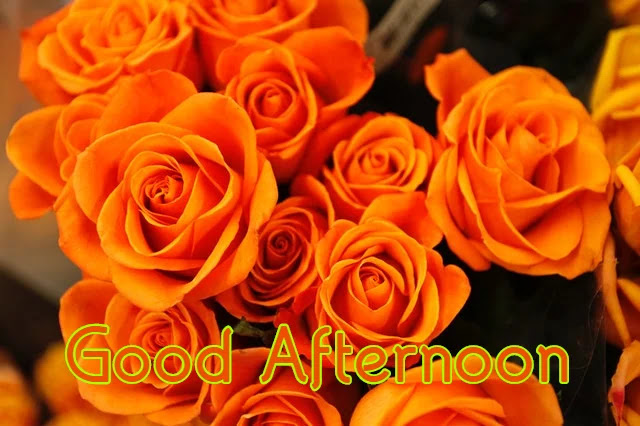 Good Afternoon HD Image Good Afternoon HD Image