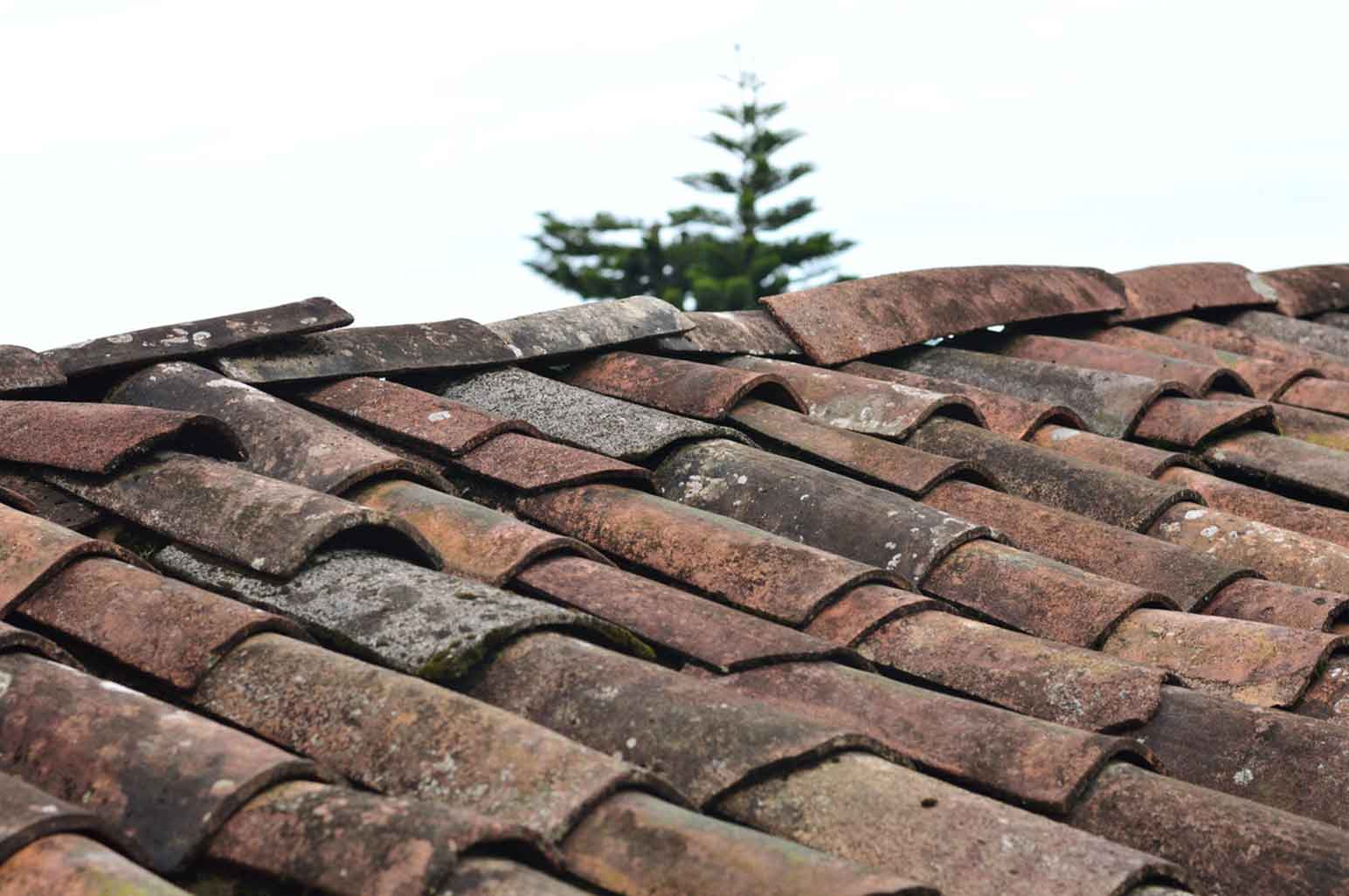 Signs You Need Roof Repair