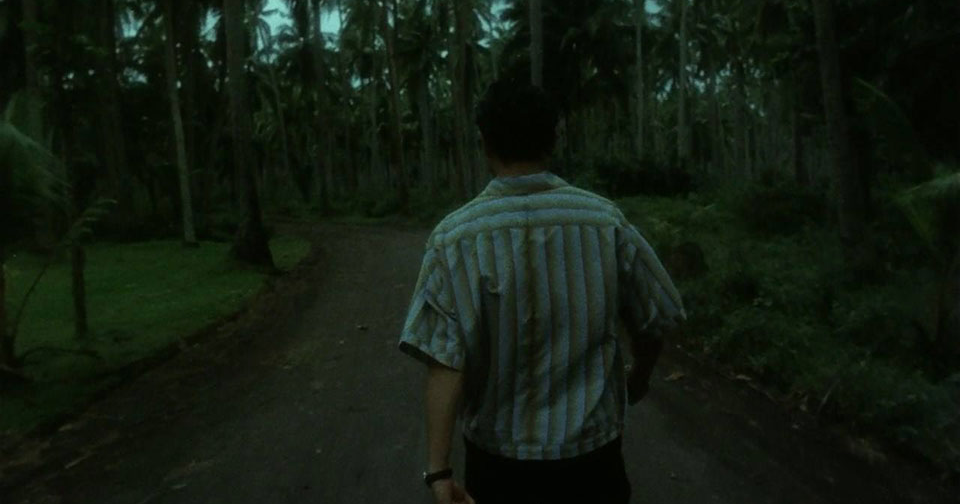 CRAY CRIES Bird with no legs