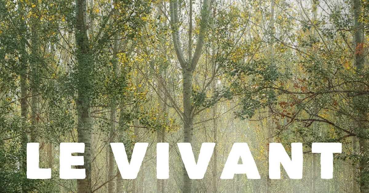 Dissertation vs thesis image