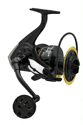 reel daiwa saltiga dogfight