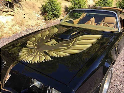 www.transam1979.com Can't touch this....dananana!!  1979 Trans Am