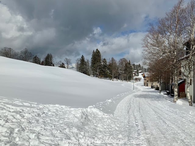 Stoos Winterwanderweg im Winter