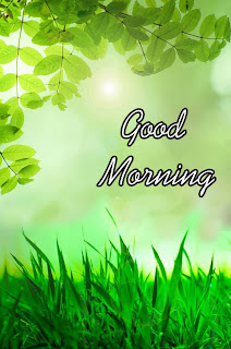 Latest Good Morning Pictures 2023 Good Morning Pictures